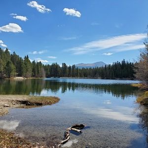 Meet your Posher, Linda